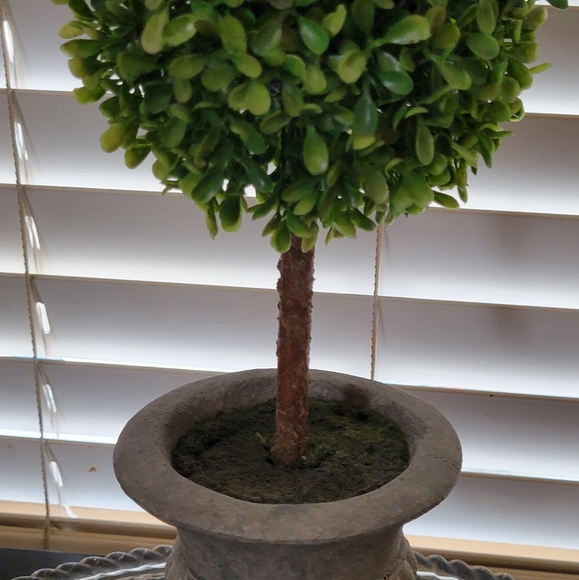 Farmhouse Lifelike Boxwood Topiary Tree in Decorative Urn Style Pot - Picture 6 of 7